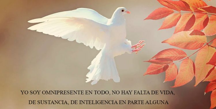 YO SOY OMNIPRESENTE EN TODO, NO HAY FALTA DE VIDA, DE SUSTANCIA, DE INTELIGENCIA EN PARTE ALGUNA