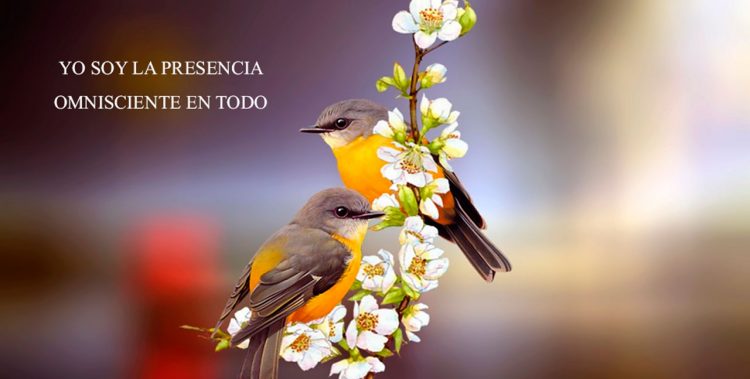 YO SOY LA PRESENCIA OMNISCIENTE EN TODO