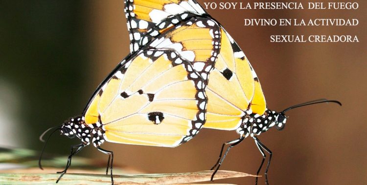 YO SOY LA PRESENCIA DEL FUEGO DIVINO EN LA ACTIVIDAD SEXUAL CREADORA