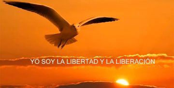YO SOY LA LIBERTAD Y LA LIBERACIÓN