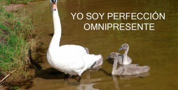 YO SOY PERFECCIÓN OMNIPRESENTE