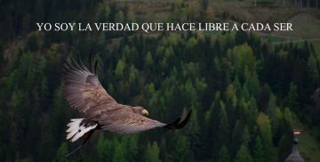 YO SOY LA VERDAD QUE HACE LIBRE A CADA SER
