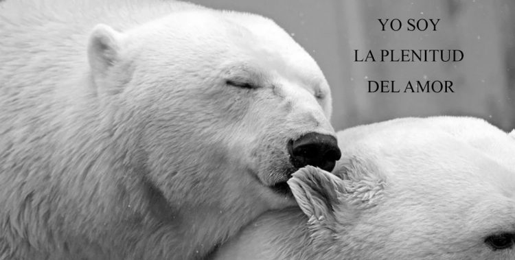 YO SOY LA PLENITUD DEL AMOR
