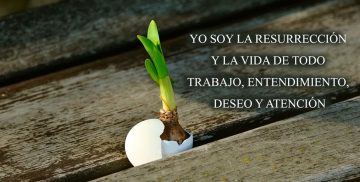 YO SOY LA RESURRECCIÓN Y LA VIDA DE TODO TRABAJO, ENTENDIMIENTO, DESEO Y ATENCIÓN