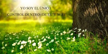 YO SOY EL ÚNICO CONTROL DENTRO (DE ESTE SER)