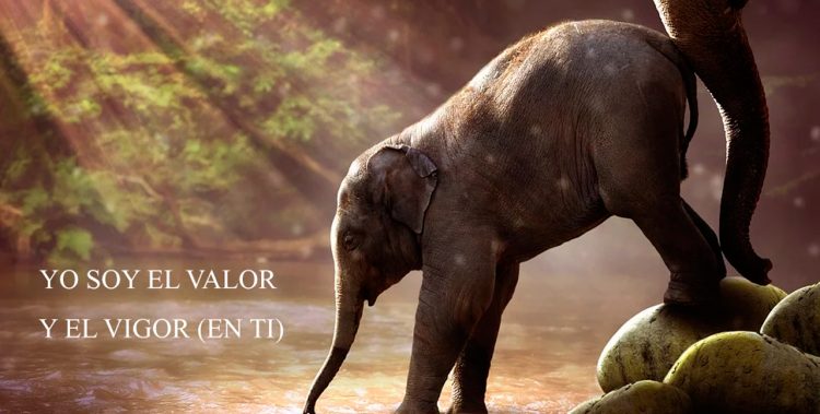 YO SOY EL VALOR Y EL VIGOR (EN TI).