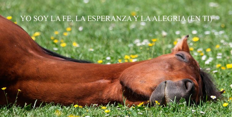 YO SOY LA FE, LA ESPERANZA Y LA ALEGRIA (EN TI)