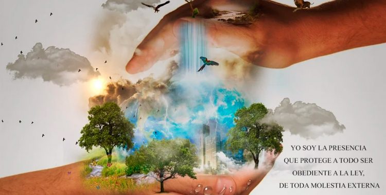 YO SOY LA PRESENCIA QUE PROTEGE A TODO SER OBEDIENTE A LA LEY, DE TODA MOLESTIA EXTERNA