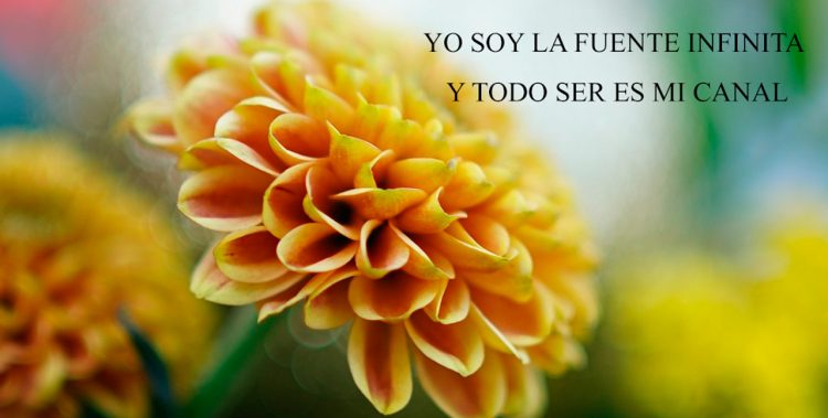 YO SOY LA FUENTE INFINITA Y TODO SER ES MI CANAL