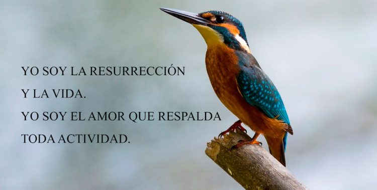 YO SOY LA RESURRECCIÓN Y LA VIDA. YO SOY EL AMOR QUE RESPALDA TODA ACTIVIDAD.