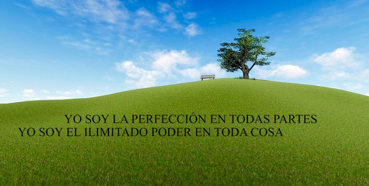 YO SOY LA PERFECCIÓN EN TODAS PARTES. YO SOY EL ILIMITADO PODER EN TODA COSA.
