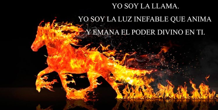 YO SOY LA LLAMA. YO SOY LA LUZ INEFABLE QUE ANIMA Y EMANA EL PODER DIVINO EN TI.